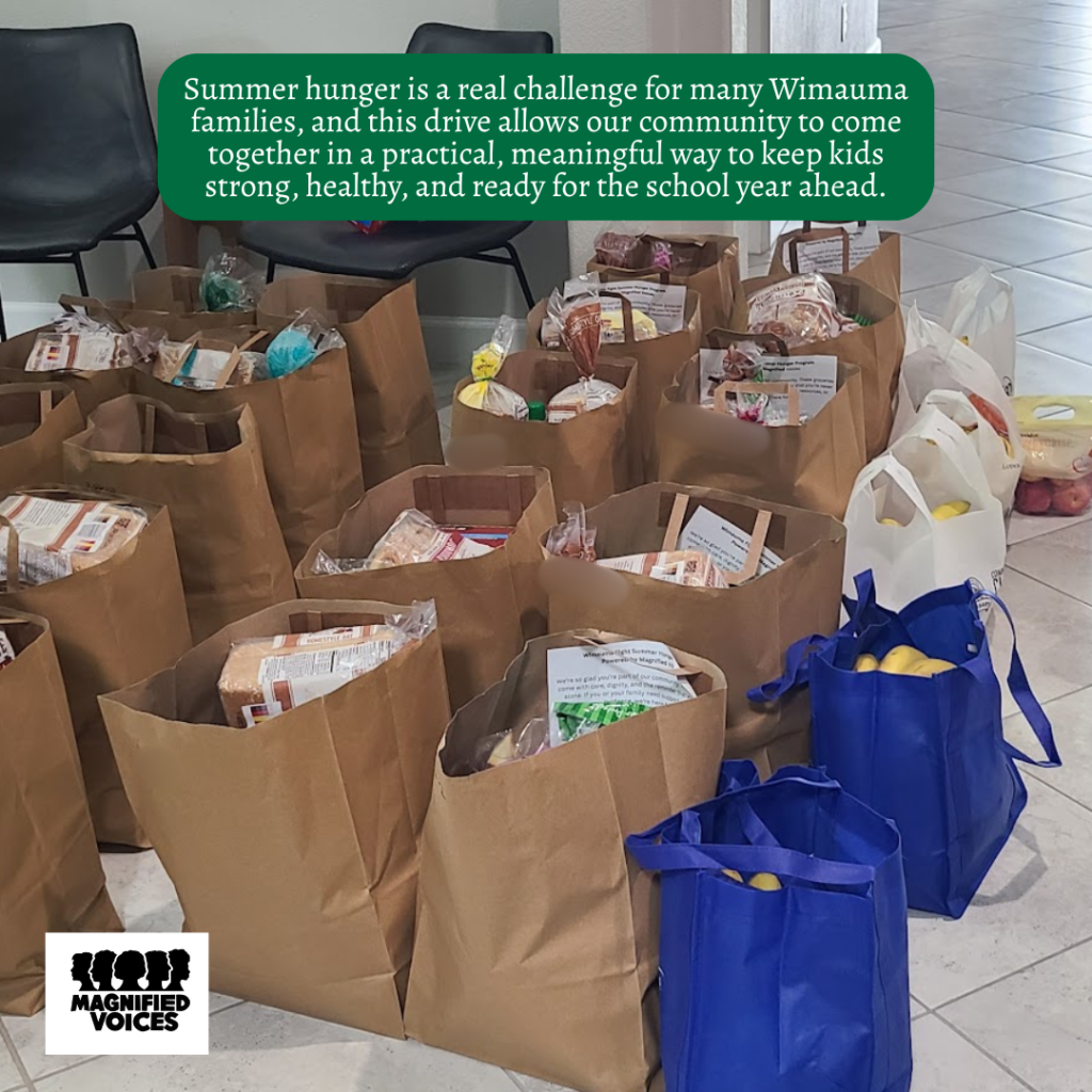 Community Outreach Hillsborough | Wimauma Florida | Magnified Voices